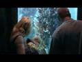 Busselton Jetty Tourism Video 2