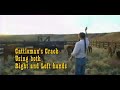 Whips and Cattle Whips and Cattle