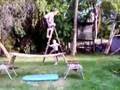 Off-Ladder-onto-tabl