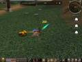 videos de Metin2-The Game