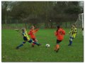Harvesters Under 10 v Luton Town Ladies Under 10