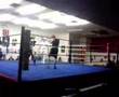 cummo vs fazza part 1