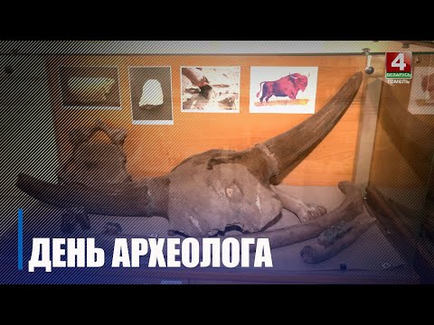Археологи Беларуси отмечают свой профессиональный праздник видео