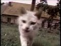 Witzige Video Sammlung
