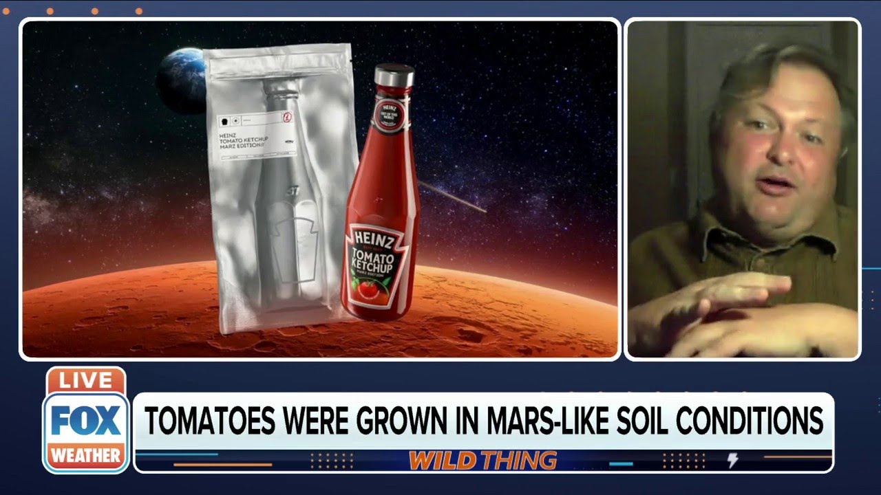 Heinz Produces Ketchup Where Tomatoes Are Grown In Mars-Like Soil