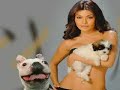 very funny dogs part 6