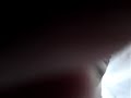 tiro na cabeça toninho