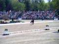 Rolex 08: Laine Ashker and Frodo Baggins, Dressage