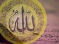 Dünya Risale-i nuru okuyor