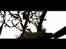 Max Aristid - Flight of the Bumble Bee