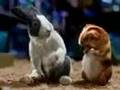 Best Buy Mouse comercial