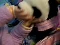 panda kiss@phebe
