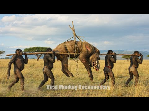 Life Million Years Ago Episode 7