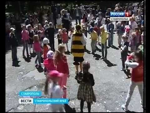 Стена из пчелиных сот Стена из пчелиных сот