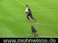 schutzhund wusv 2006 schutzhund wusv 2006
