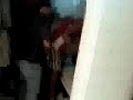escovando os dentes metodo radical.3gp