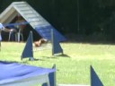 Boaster Jumping Aussonne
