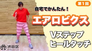 エンジョイエアロビクス（立って行う・有酸素運動）