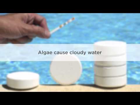 video-linktoworks-Cloudy Pool Water: Causes and Treatment