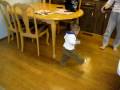 videos de Blake walking for his first time