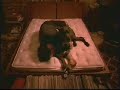SleepNumber ad with Great Dane SleepNumber ad with Great Dane