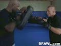 George St. Pierre - Jab Counter