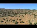 Thunder Over Reno Trailer