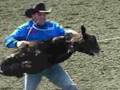 Animal Cruelty