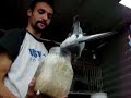 palomas buchonas grip
