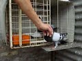 palomas buchonas grip