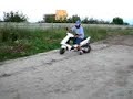 generic xor donut and wheely