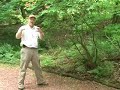 Pruning Rhododendrons for Purpose (Part 1 of 3)