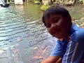 Mata Ikan Besar