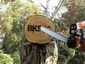 2 Motorsägen im Test : OBI BKS 40 vs. Stihl MS 180