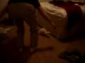 Spazzy Spike