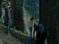 Funniest moments in Harry Potter and the Prisoner of Askaban