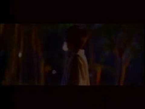 Andy Lau - 下次不敢(童梦奇缘)