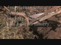 Crisis in Africa : School Project