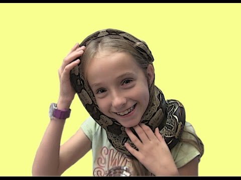 YouTube reptile video