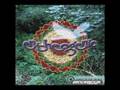 Entheogenic - Entheogen Spice