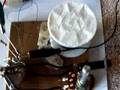 Imhotep Radiant Oscillator Lite -- Solid State