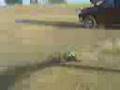 DDR racing jato 3.3