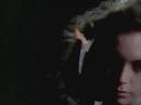 Steve Winwood -Valerie