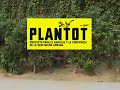 PLANTOT experimento 1. Albahaca en el Parque