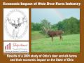 OHIOdeer.mov