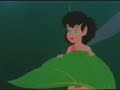 Fern Gully--Enya---AMV with the fairy tale forest smell