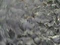 Schlammiger Weg in Scheessel