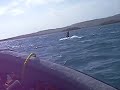 Learning kite boarding in Puerto Rico