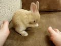 just so adorable just so adorable