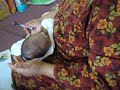 Nuruddin Amin - cukur rambut